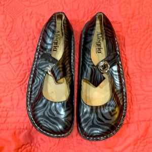 Alegria Zebra Print Clogs